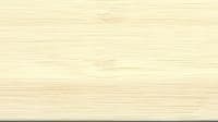 Bamboe Esdoorn (bamboo maple)