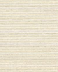 H059_PT_TR **uit voorraad (H059_PT_TR **out of stock)