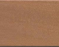 lindenhout pecannoot (basswood pecan)