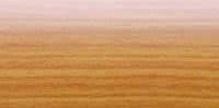 n beuk (beech)