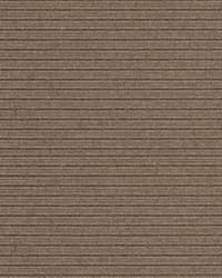 P175_PT_FR_AC_OR